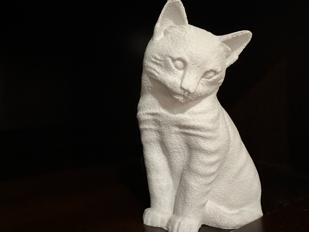 Fuzzy Cat