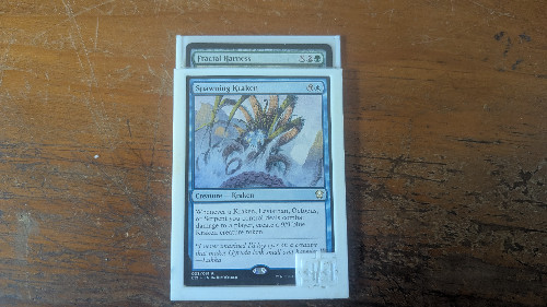 MTG Dual Card Sleeve For Equipment/Enchantments