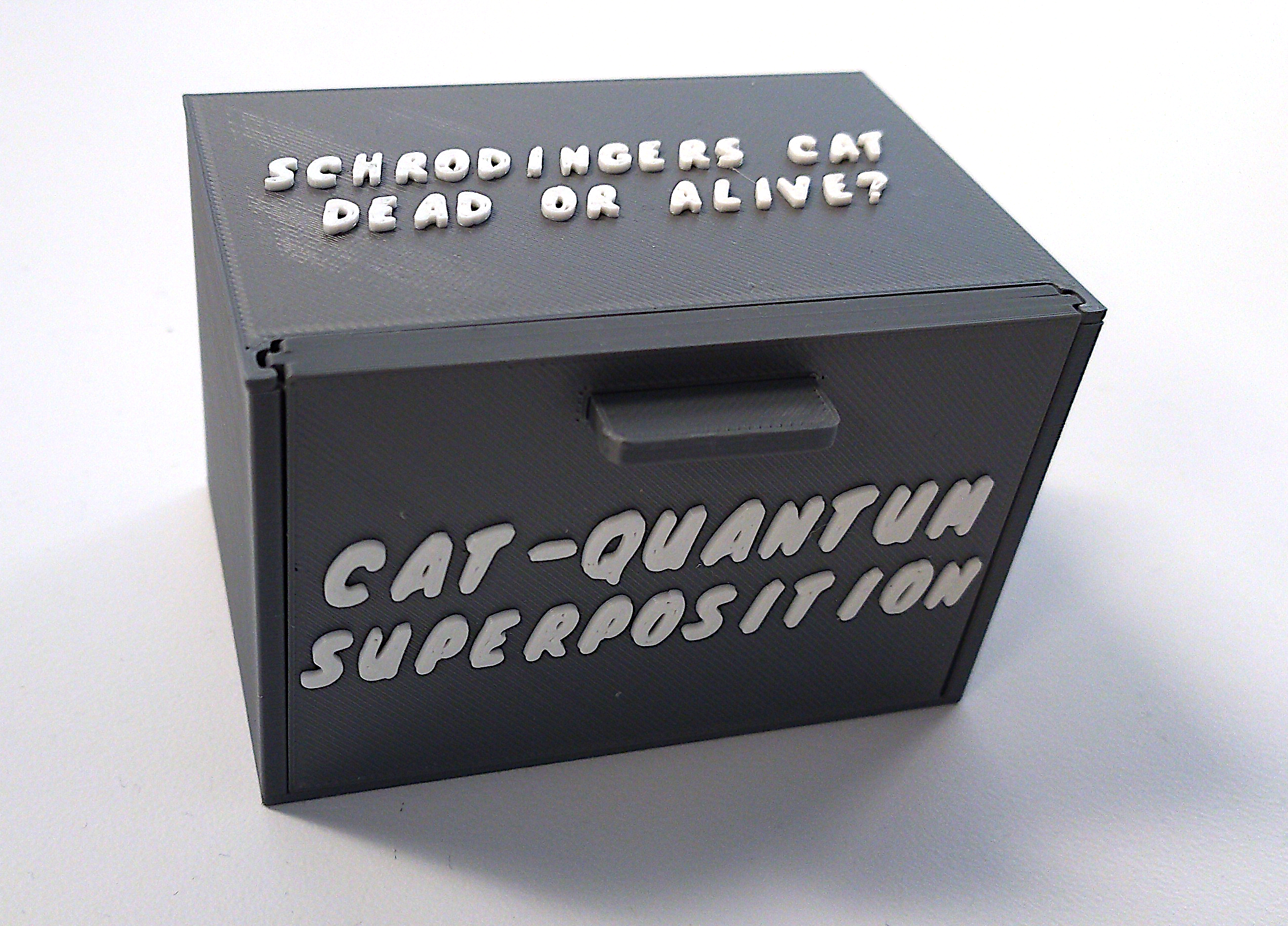 Cat-Quantum Superposition