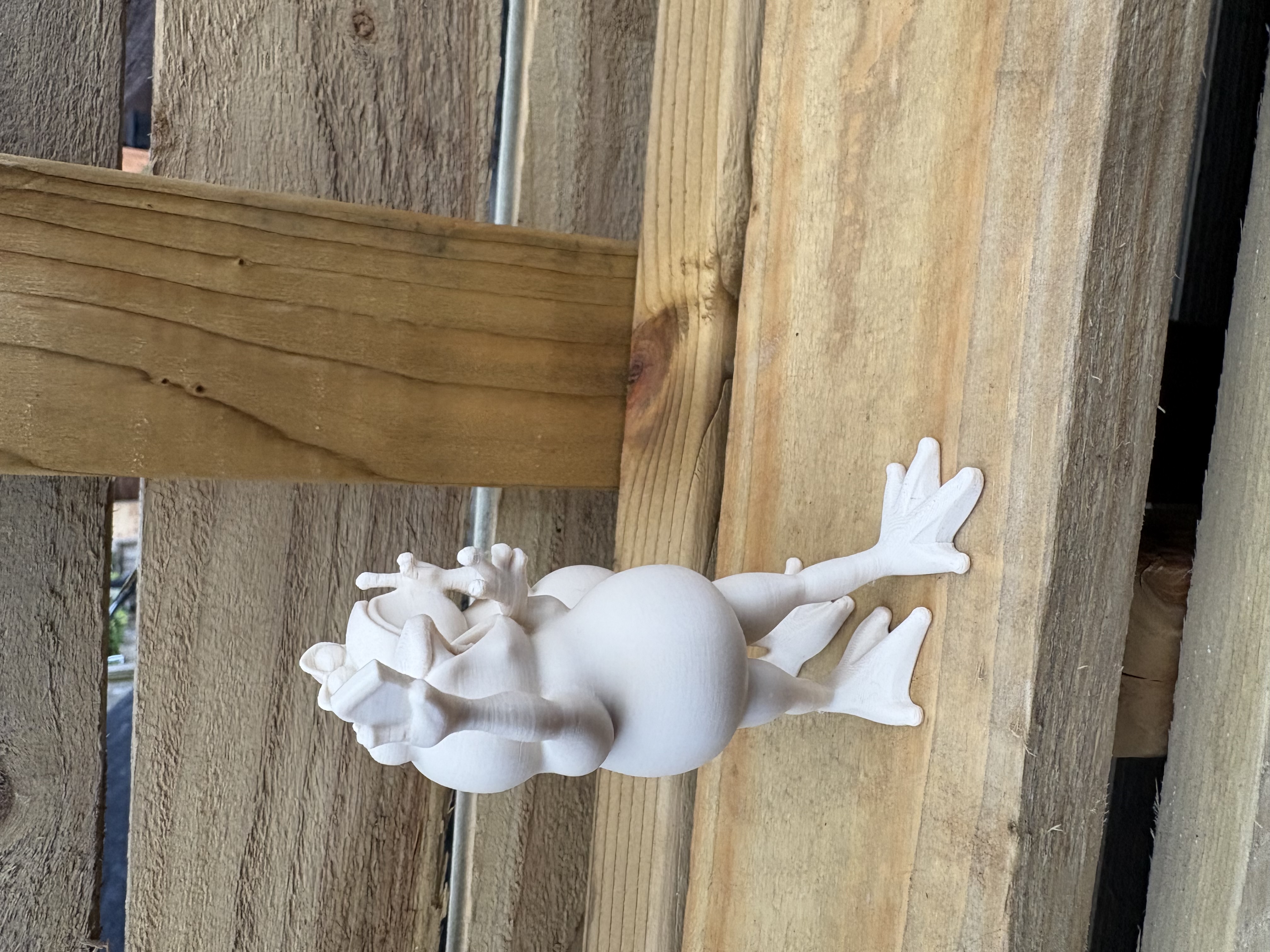 Selfie Frogs — miniatura 3