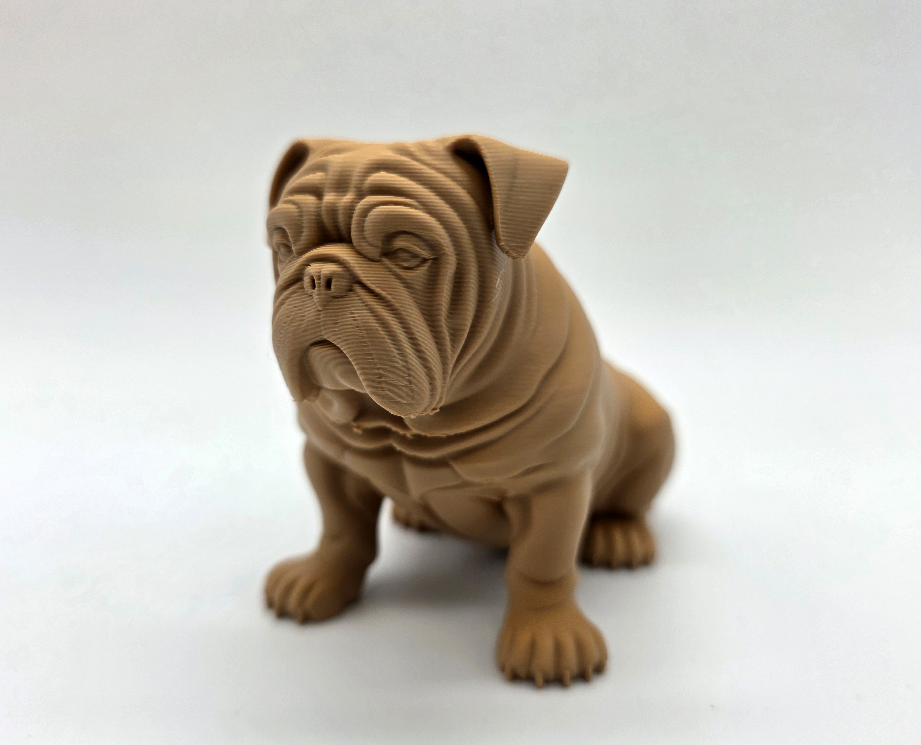 Seated English Bulldog