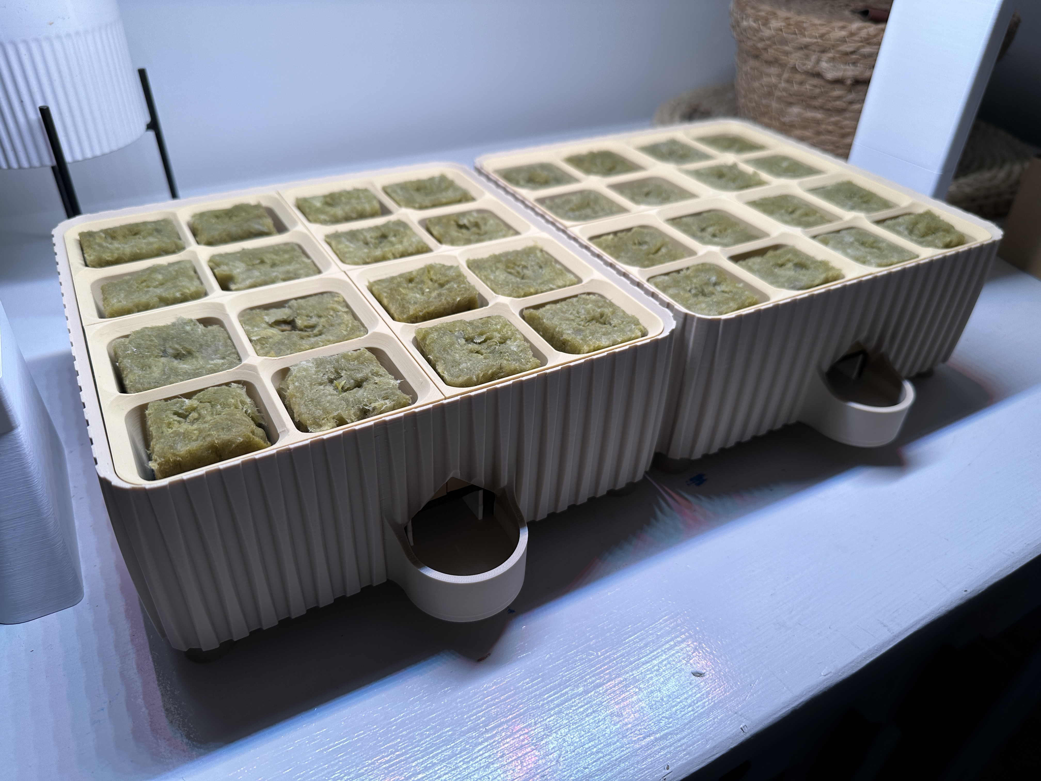 Self-watering planter for growing seedlings (seed starter)