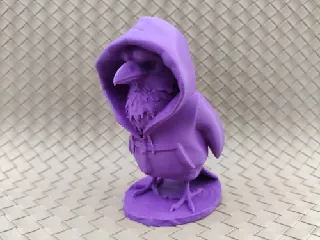 Eagle in a Hoodie