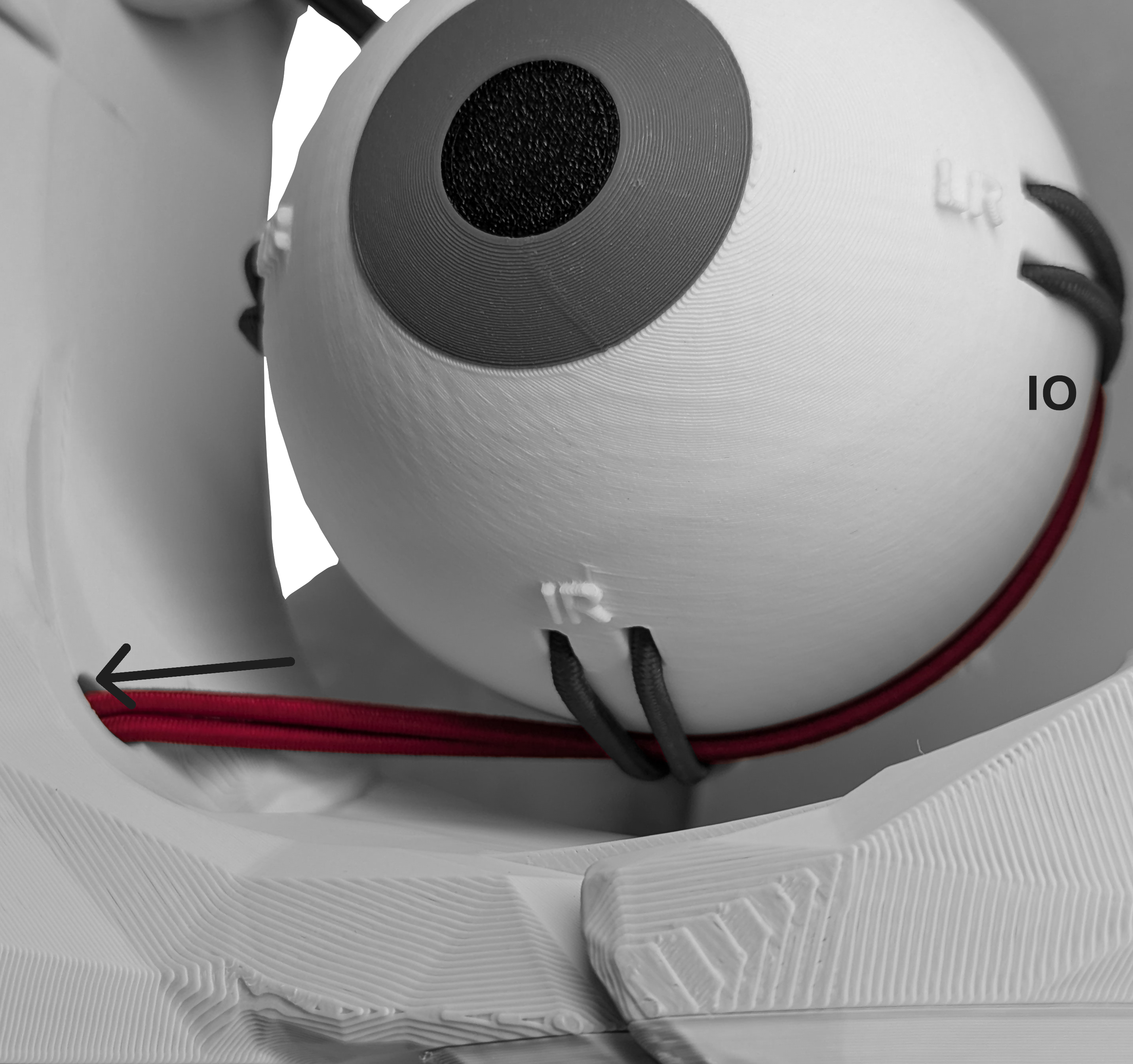 Dynamic Extraocular Muscle Simulator — thumbnail 6