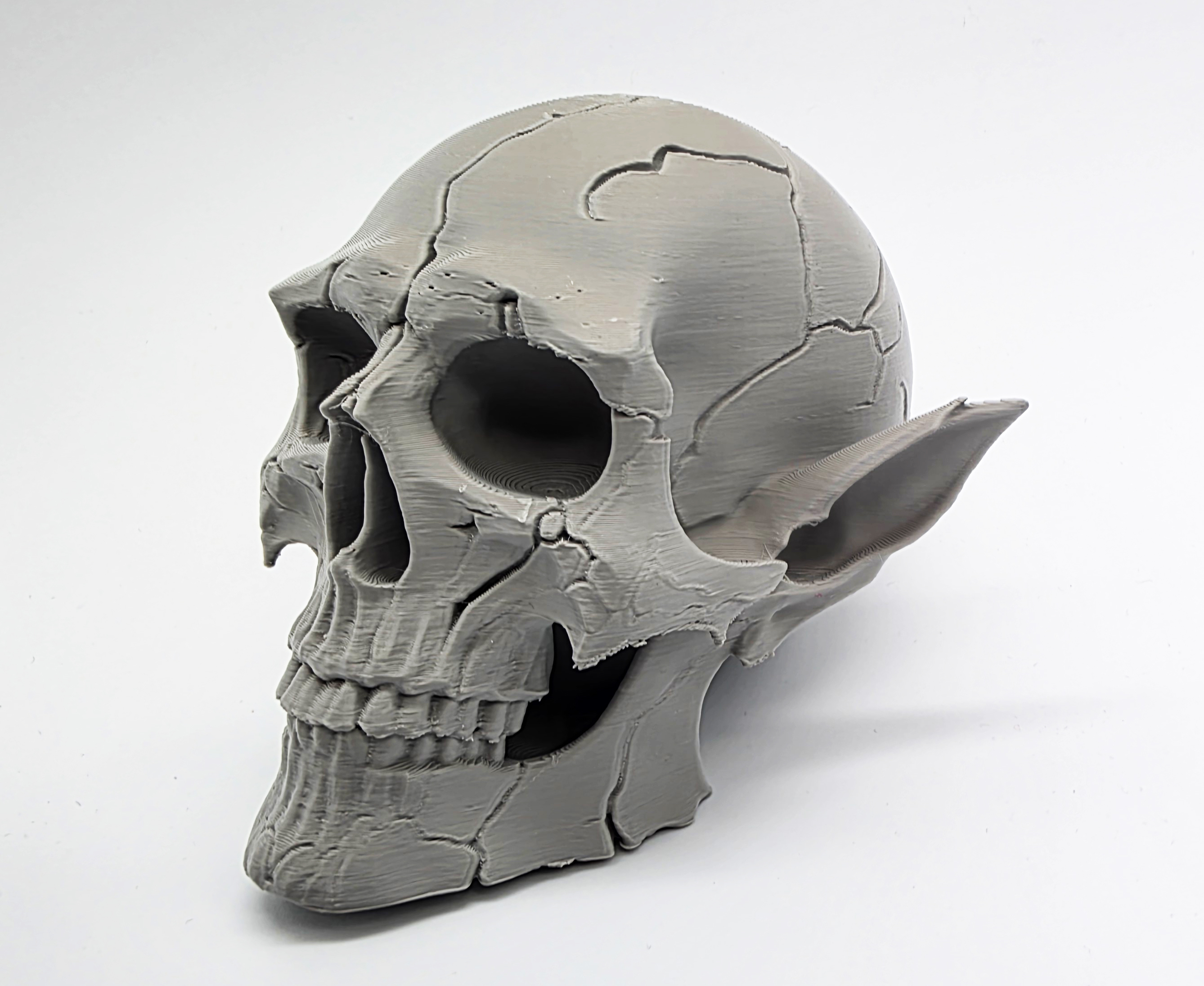 Cracked Elven Skull