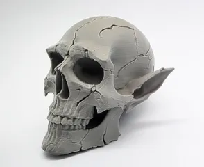 Cracked Elven Skull