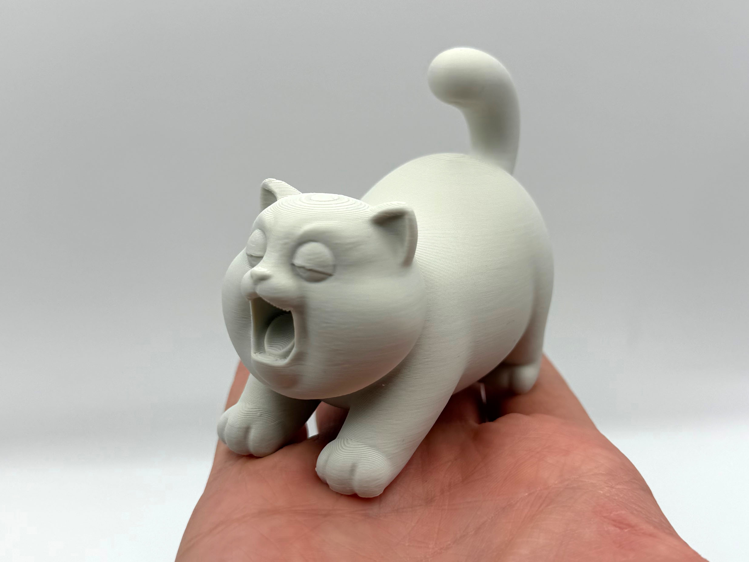 Chubby Yawn Kitten 3D model