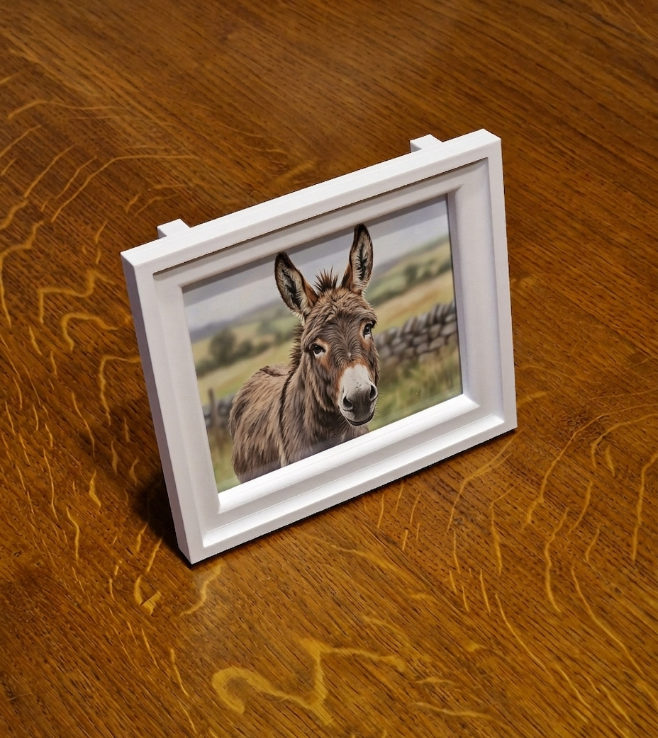 Stylish frame for Orange wifi repeater (for 10x13cm photos)