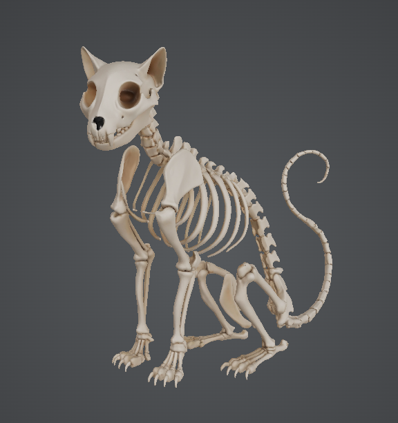 Skeleton cat