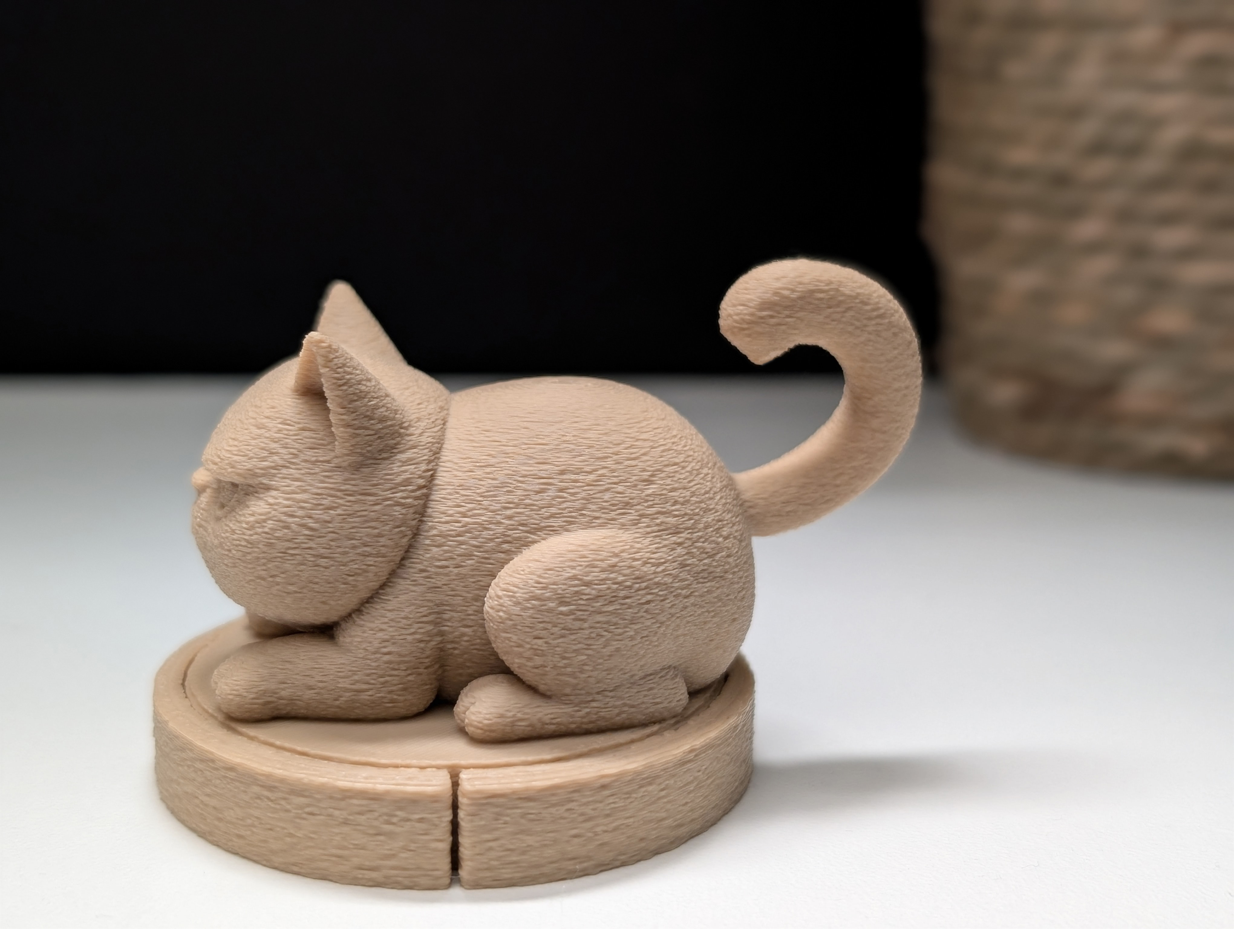 Miniatura 8 do modelo 3D Grumpy Cat on a Roomba