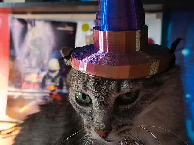 Witch's hat for cats / Шляпа ведьмы для котов