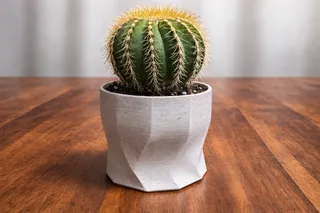 Plant Pot
