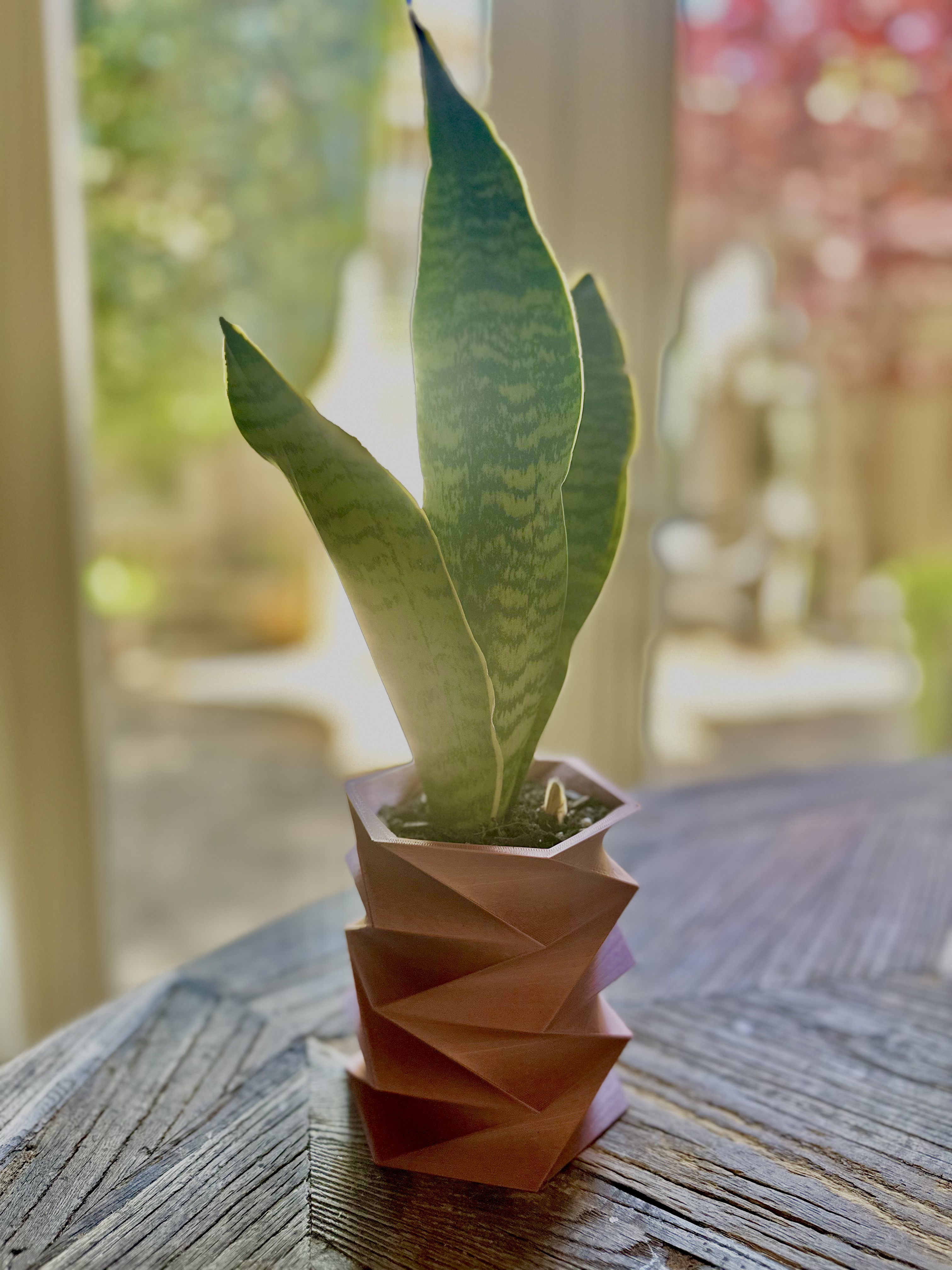 Hex Spiral Vase