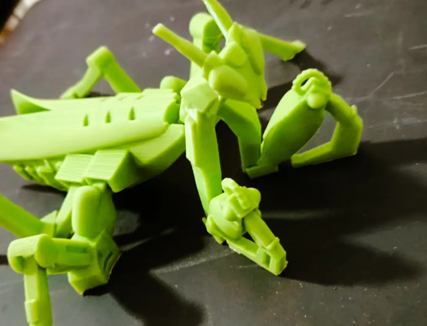 An all-in-one movable mechanical mantis
