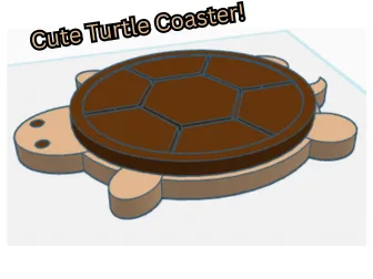 Turtle Coaster