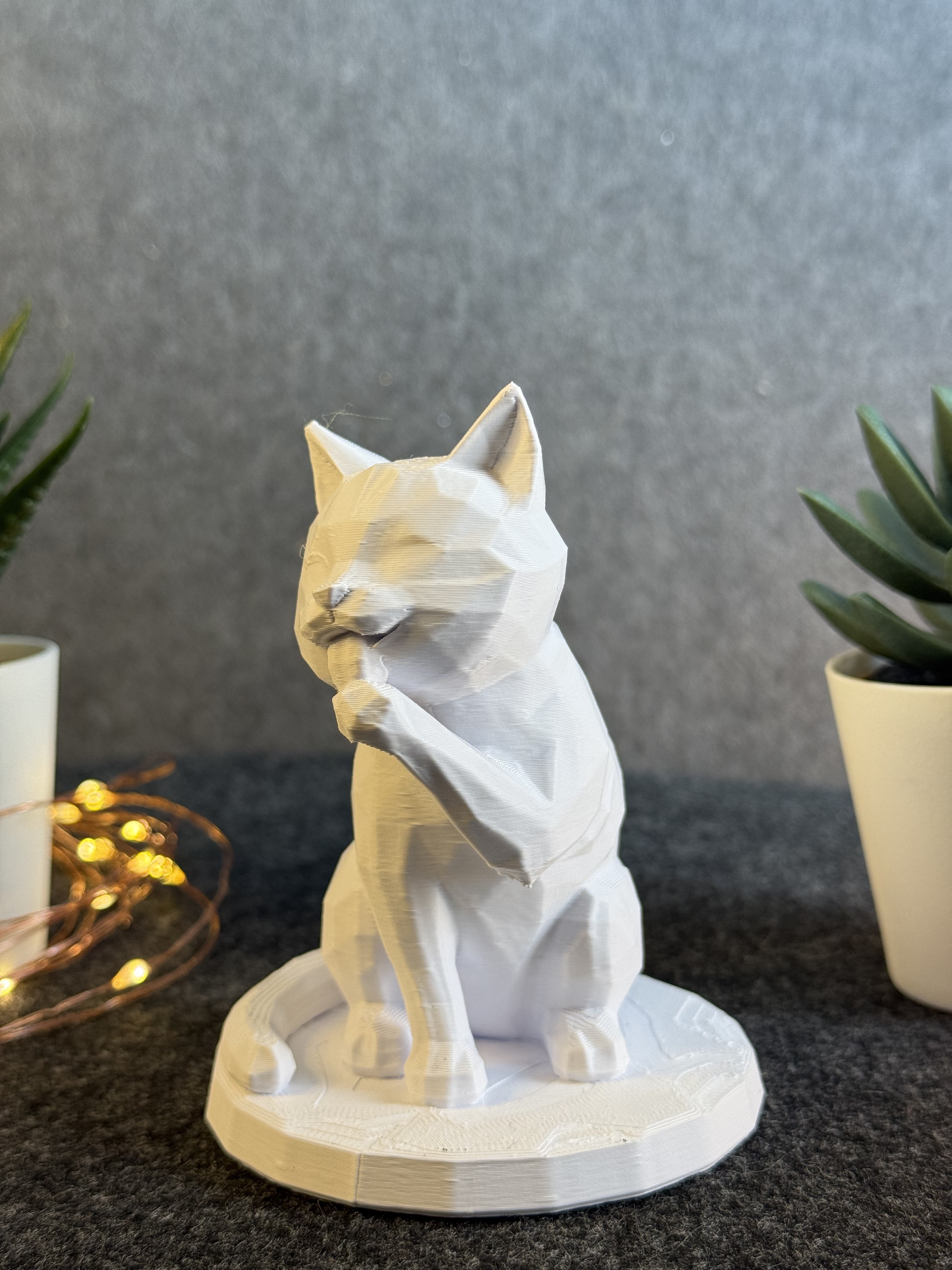 Cute Cat