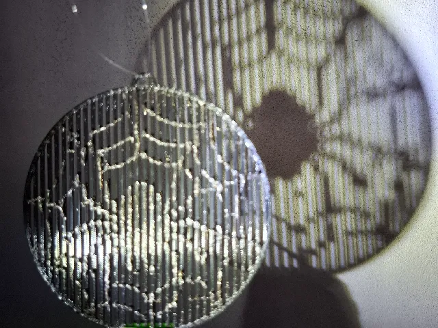 Halloween Spider Web