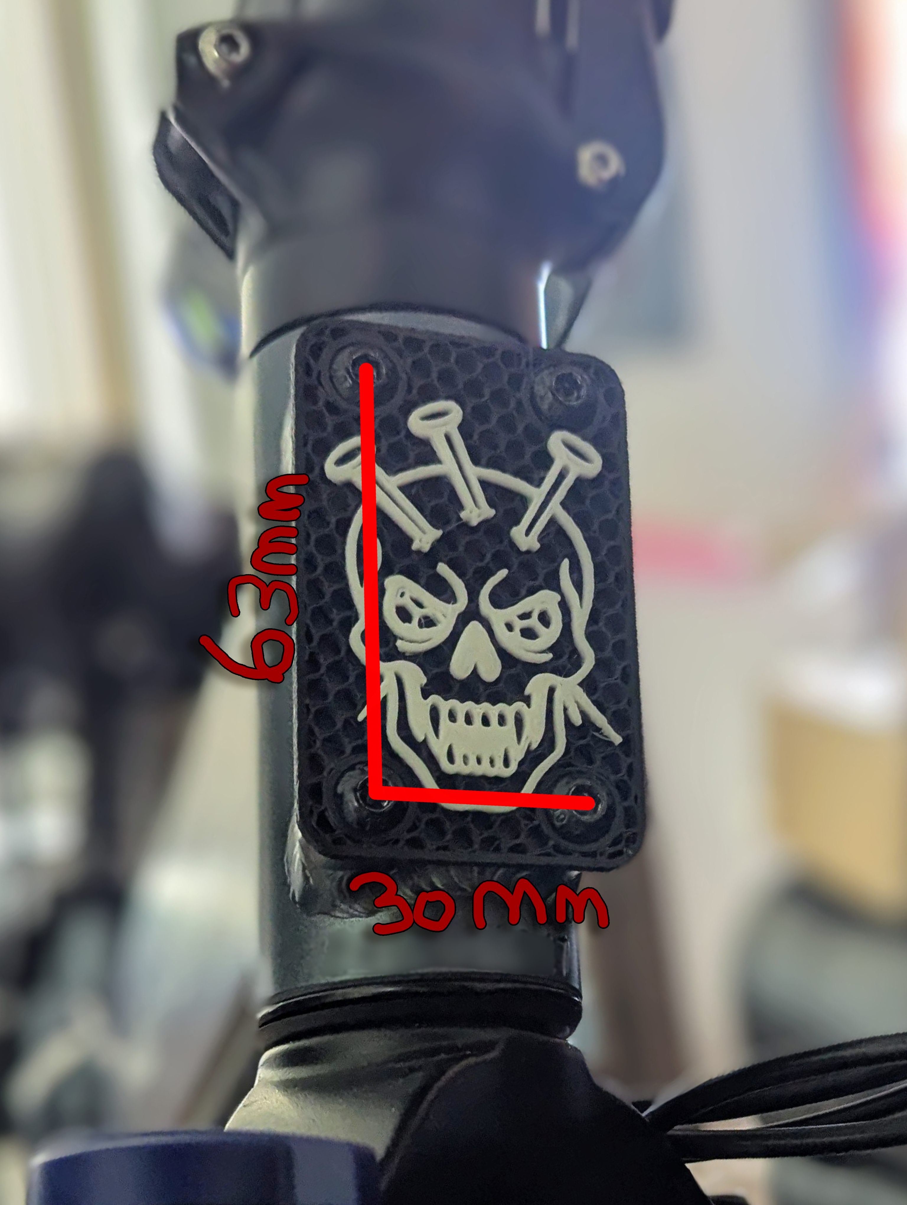 Ebike Vanity Plate — thumbnail 4