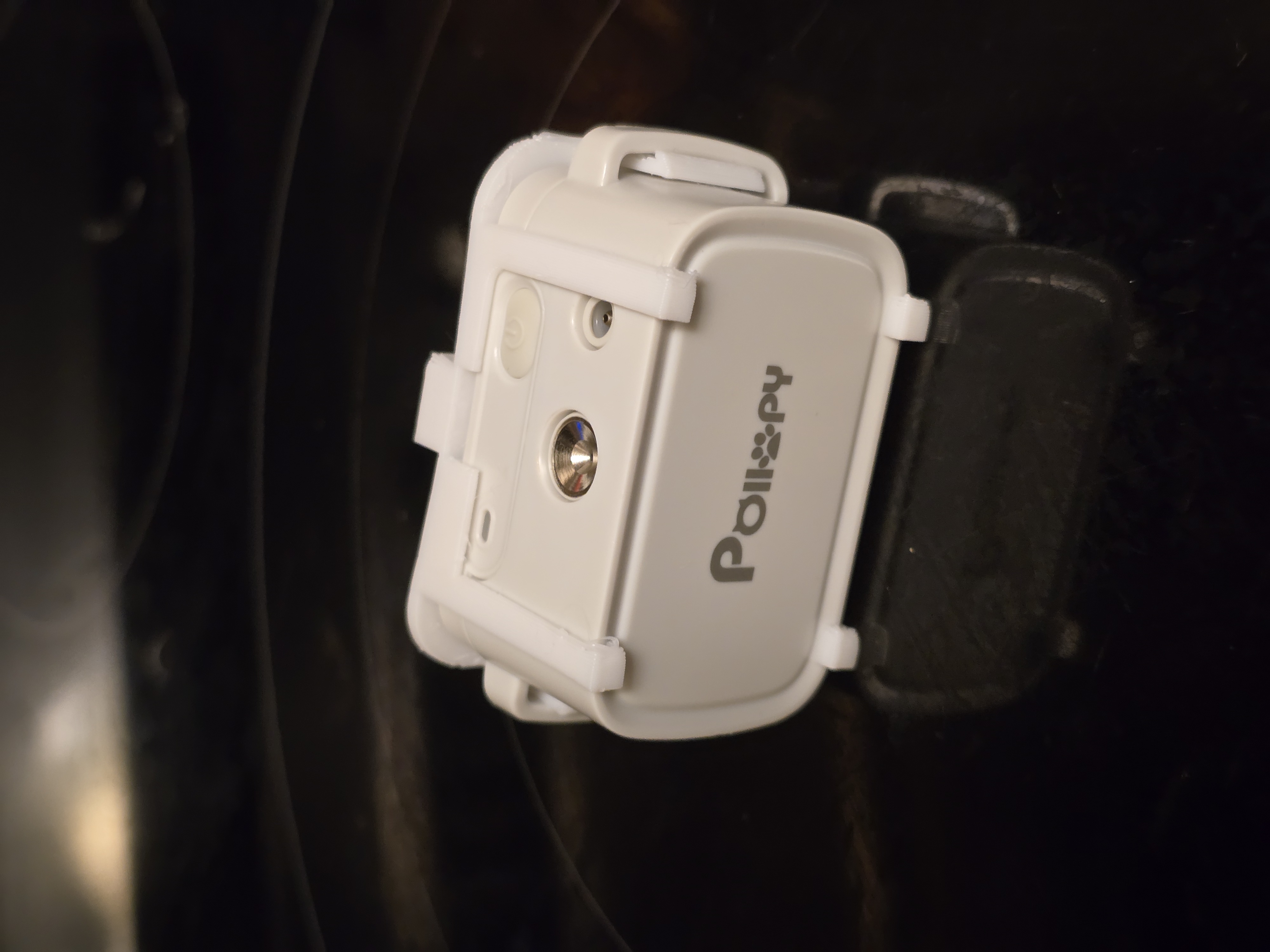 POLLOY collar clip — thumbnail 3