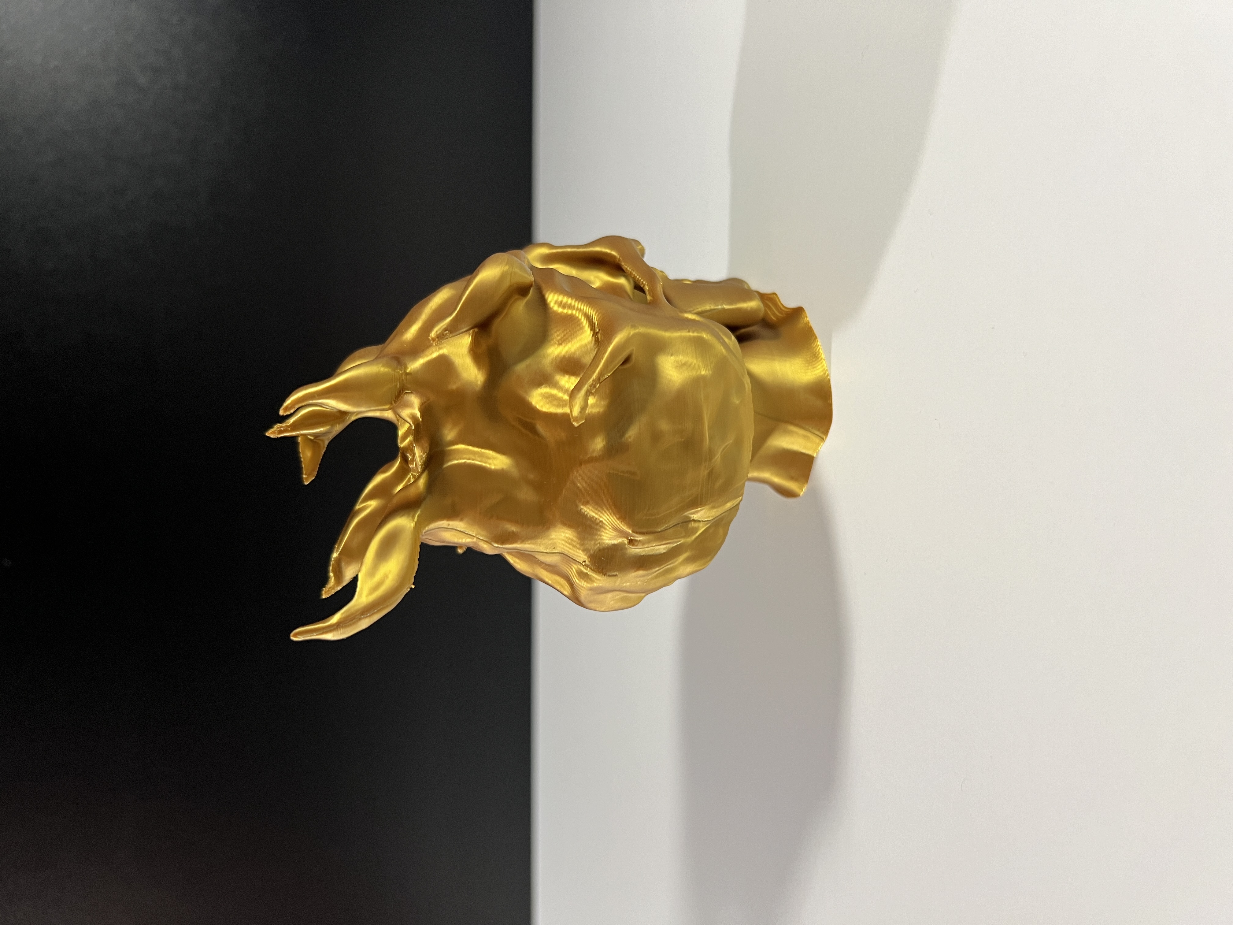 Miniatura 5 do modelo 3D Flame Skull