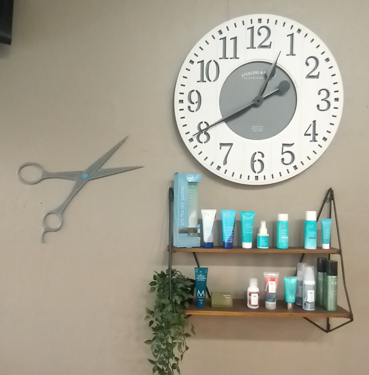 Hairdresser Scissors Wall Art