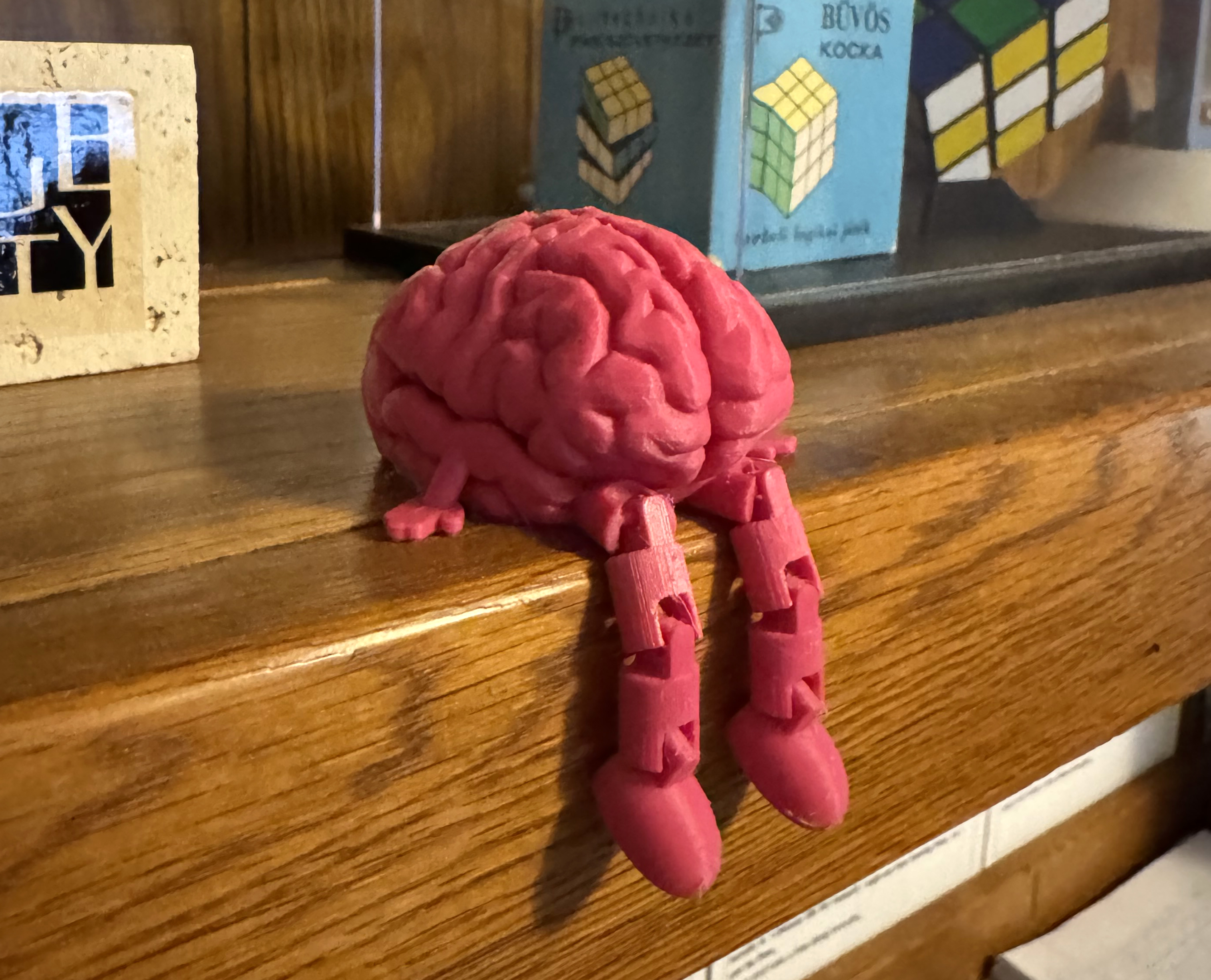 Friendly Articulated Brain
