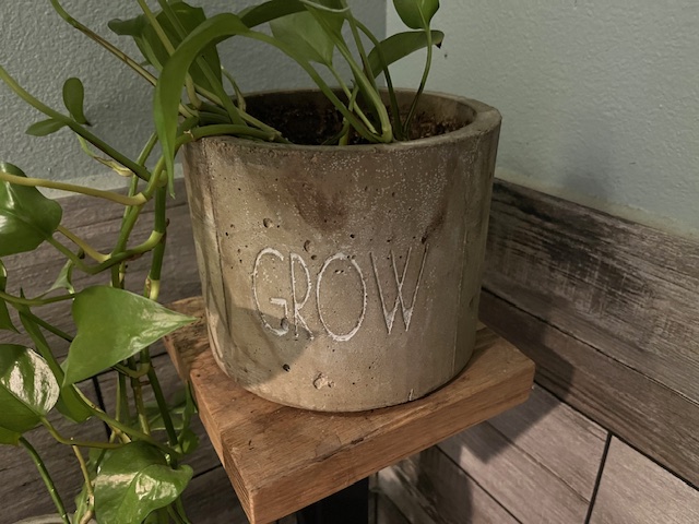 Versatile Concrete Plant Pot Form