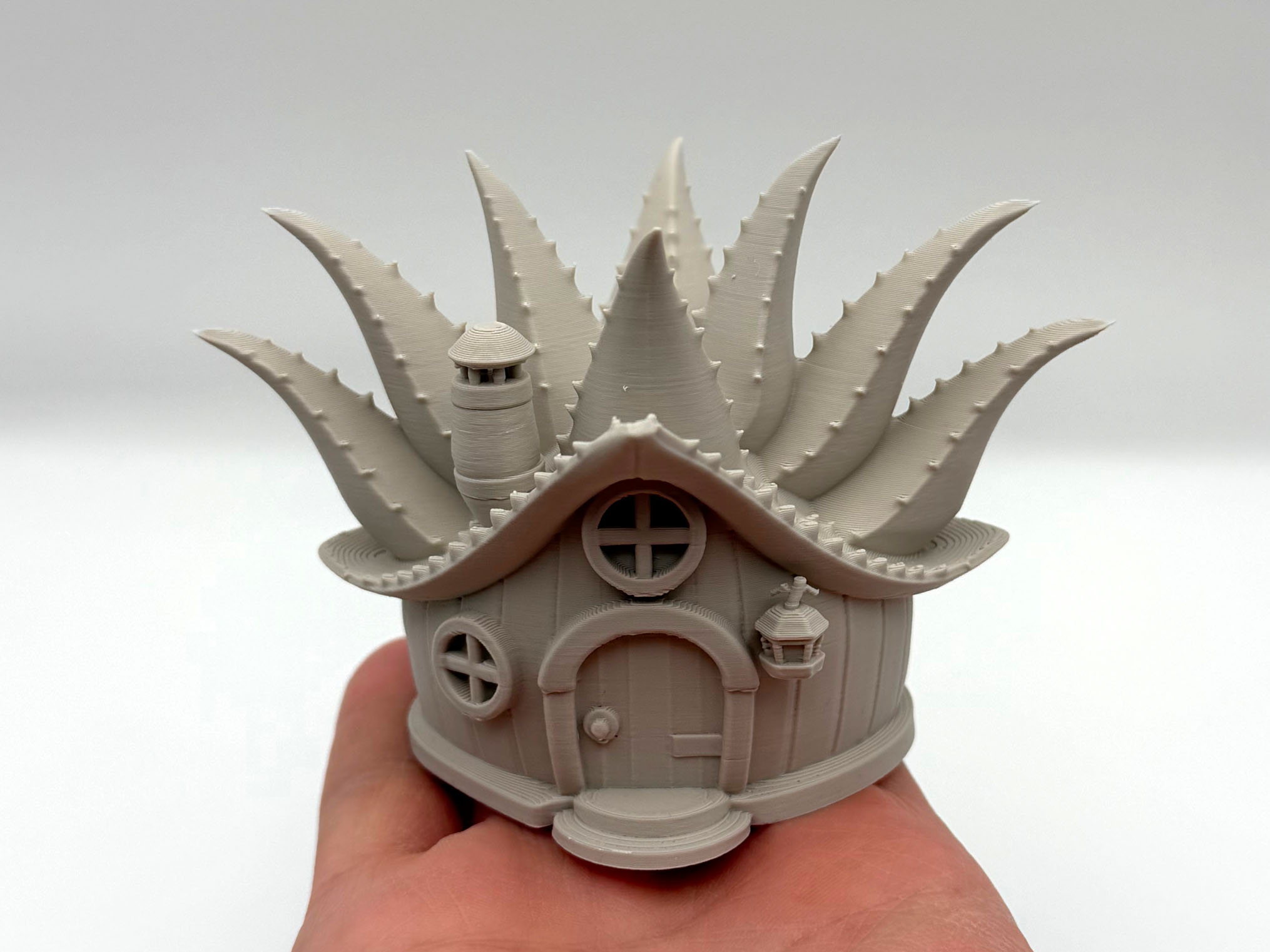 Aloe Fairy House