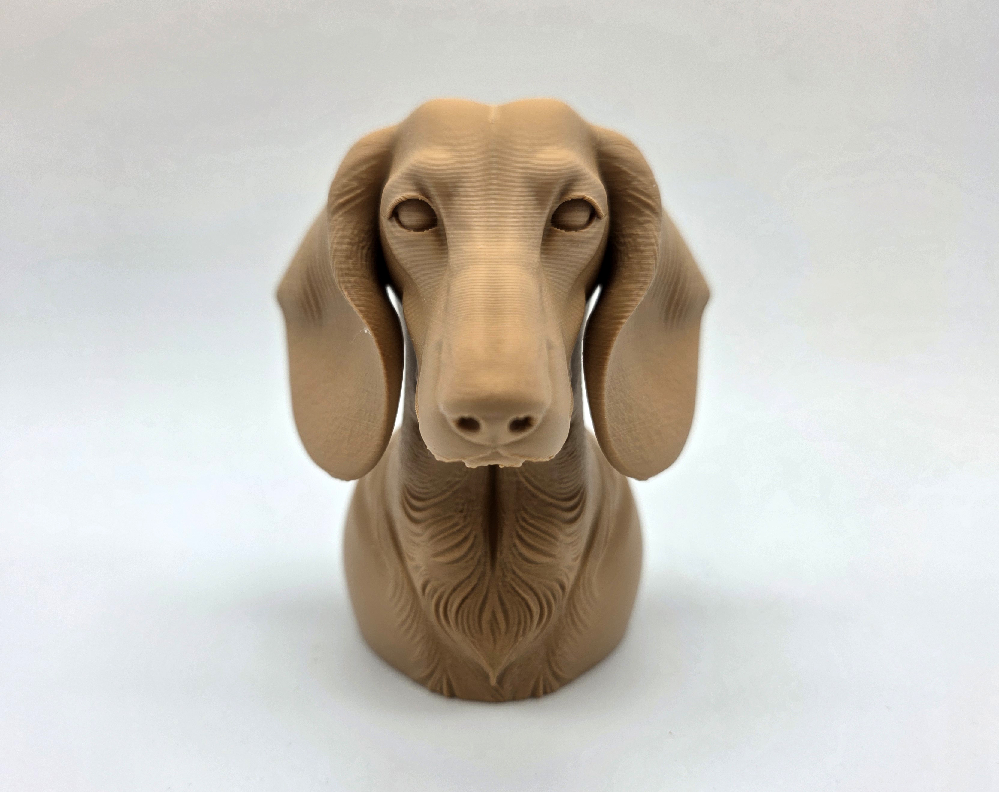 Dachshund Bust — miniatura 6