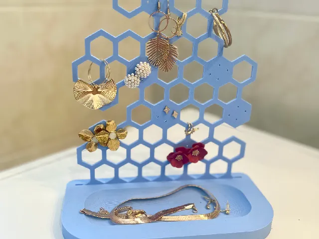 Earring holder and organizer