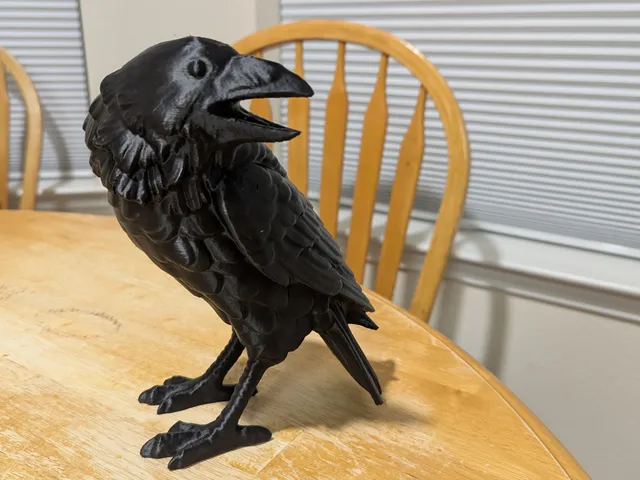 Raven