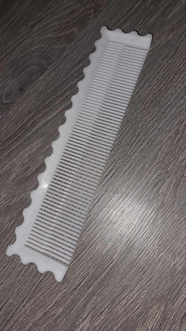 Large Hairbrush