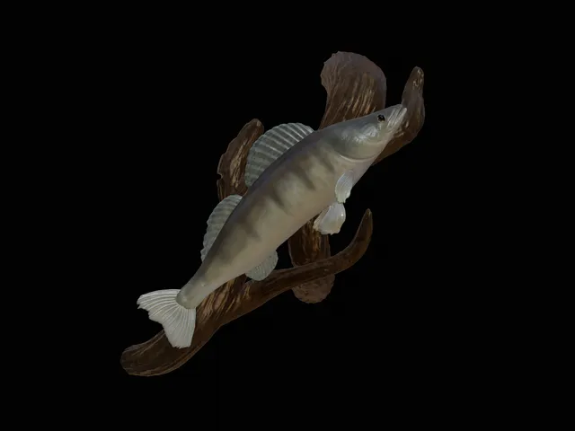 Zander Sculpture on Branch Base