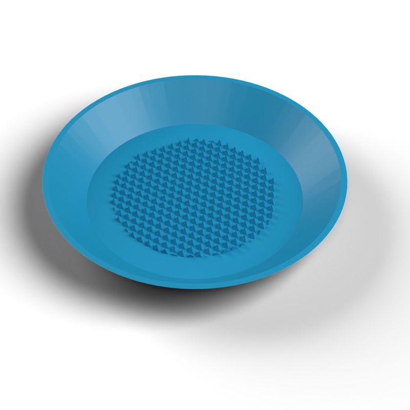 Garlic and Ginger Grater Dish - Grating Plate with Sharp Teeth, No ...