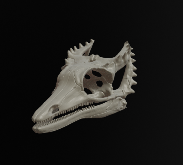 Weigeltisaurus replica skull 3D model