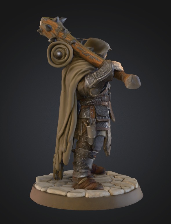 Warrior Sentinel — miniatura 6