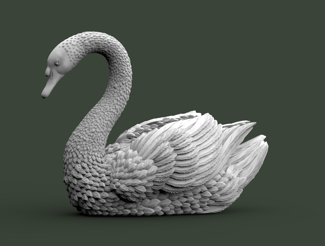 BIRD SWAN — thumbnail 7