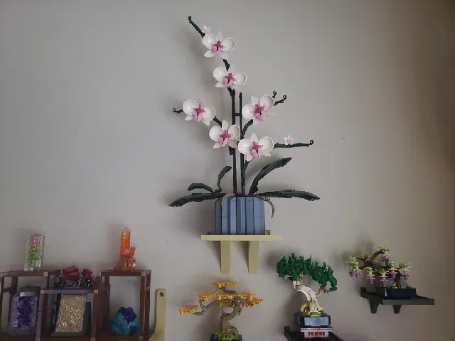 Display shelf