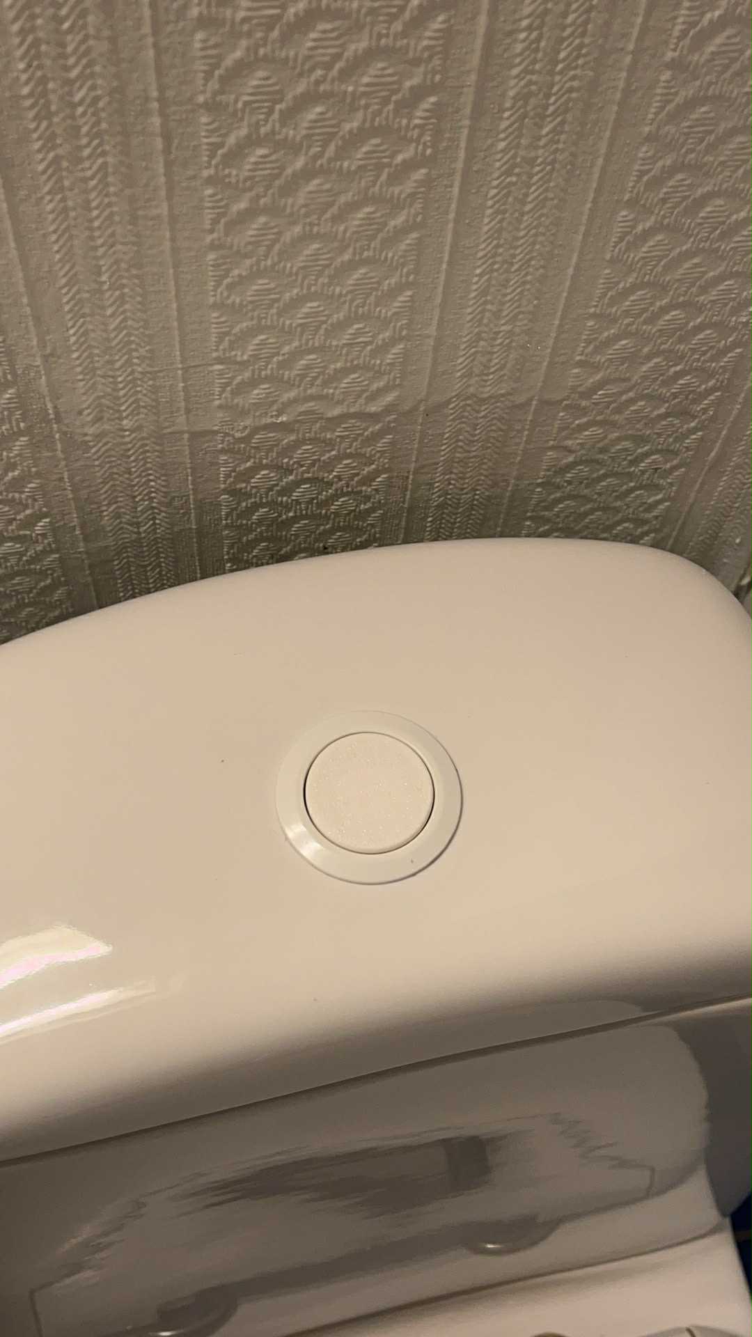 Toilet Flush Button Cap