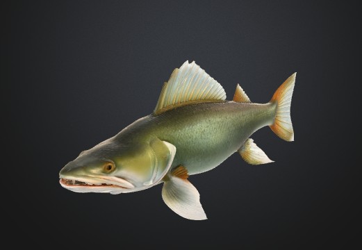 GREEN FISH ZELENA RYBA