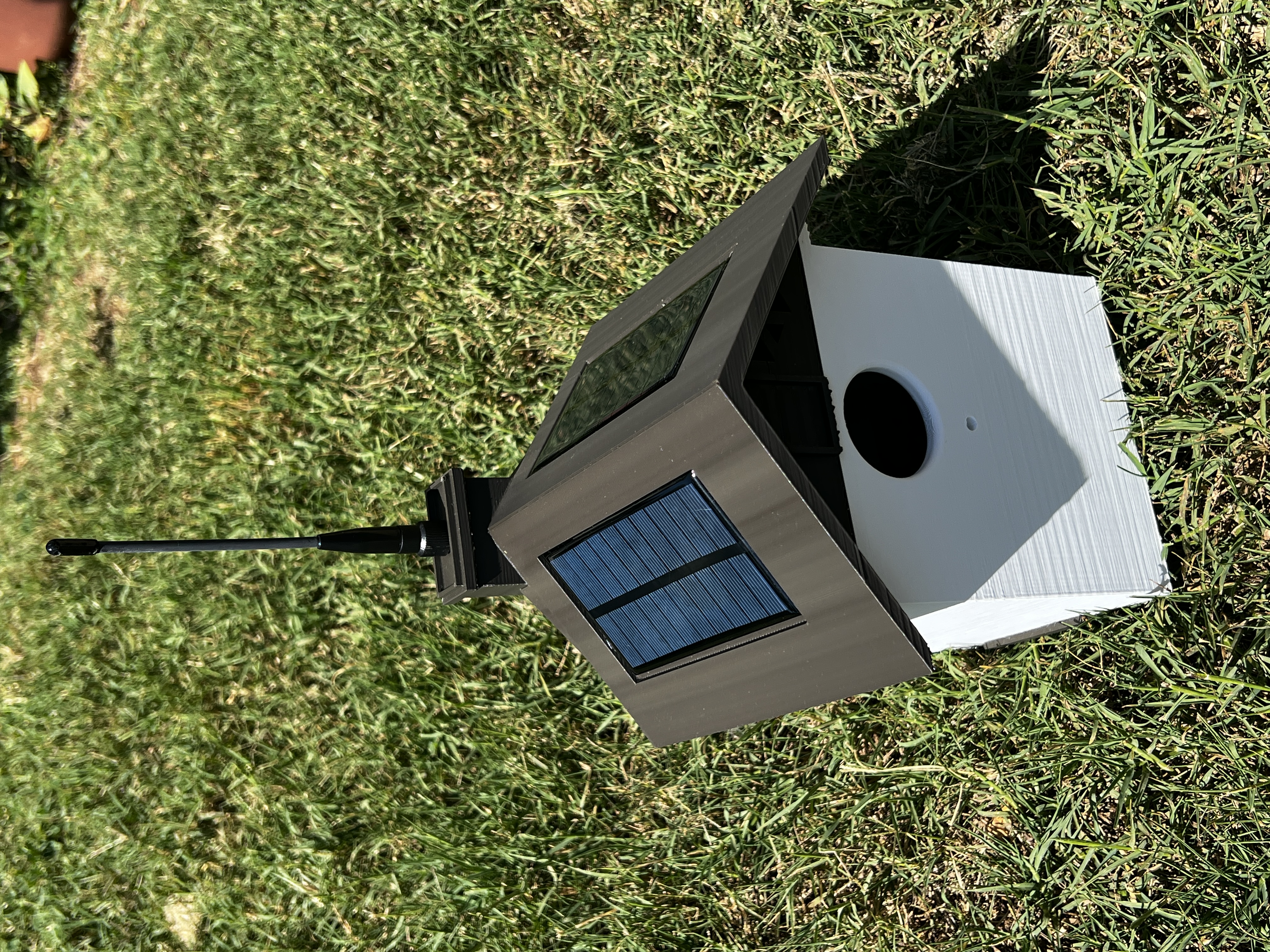 Sunbird Birdhouse Node