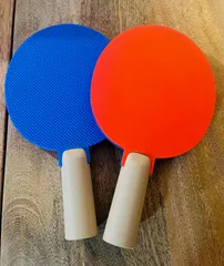 Ping Pong Paddle