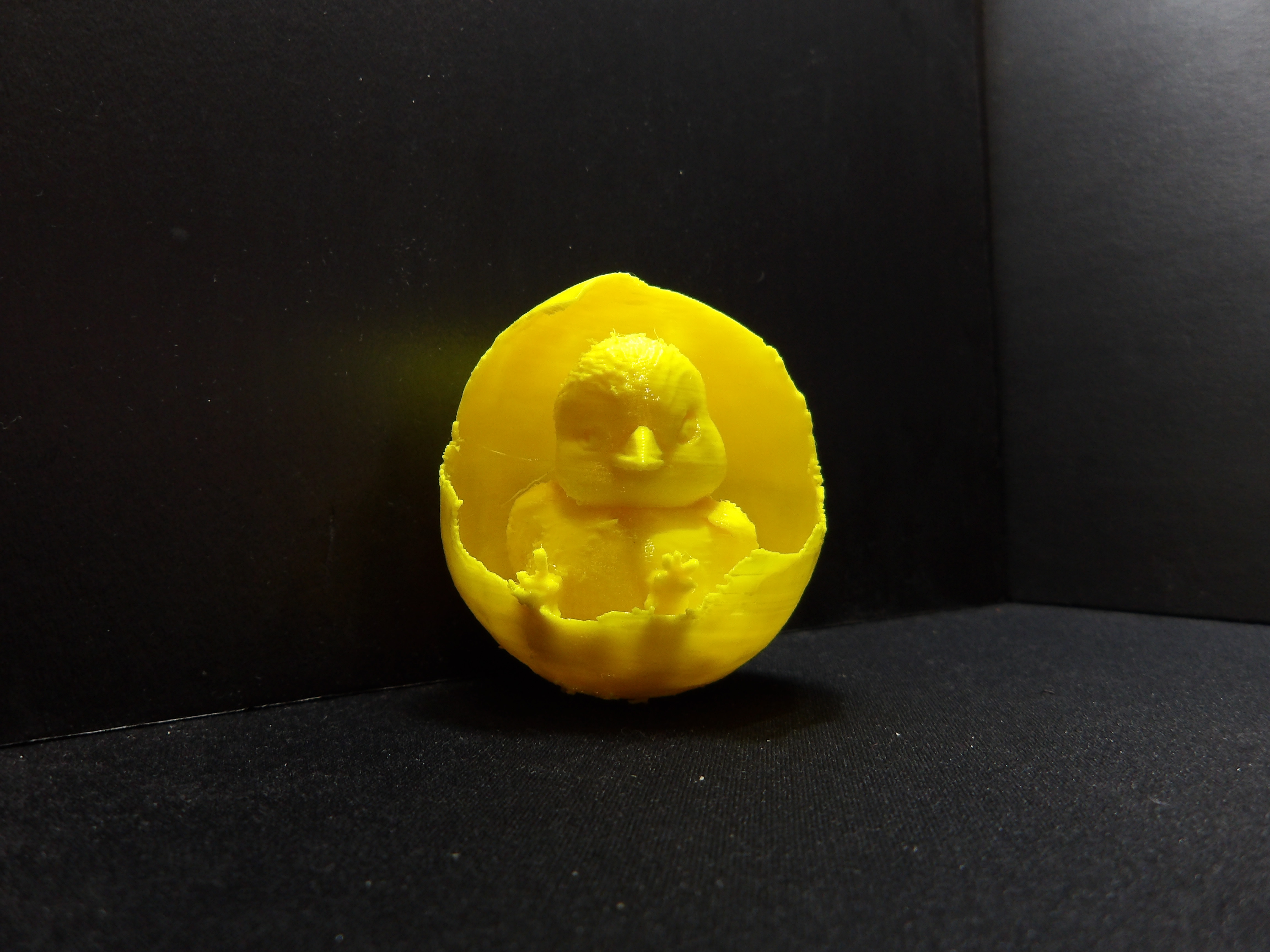 A chick hatching out of an egg.