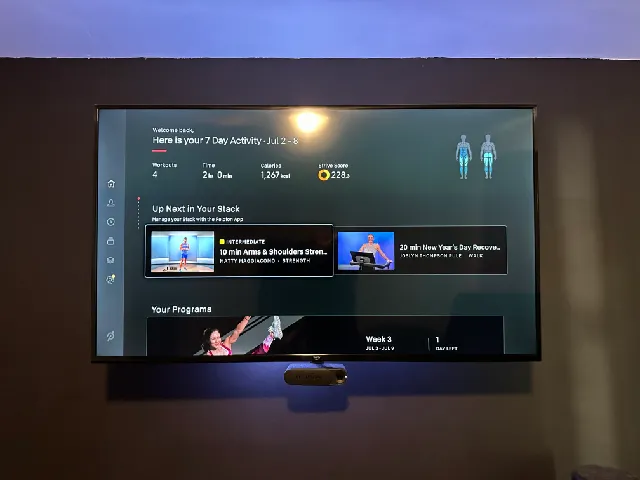 Guide TV Mount