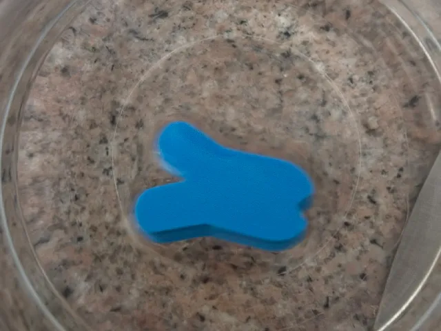 minnow