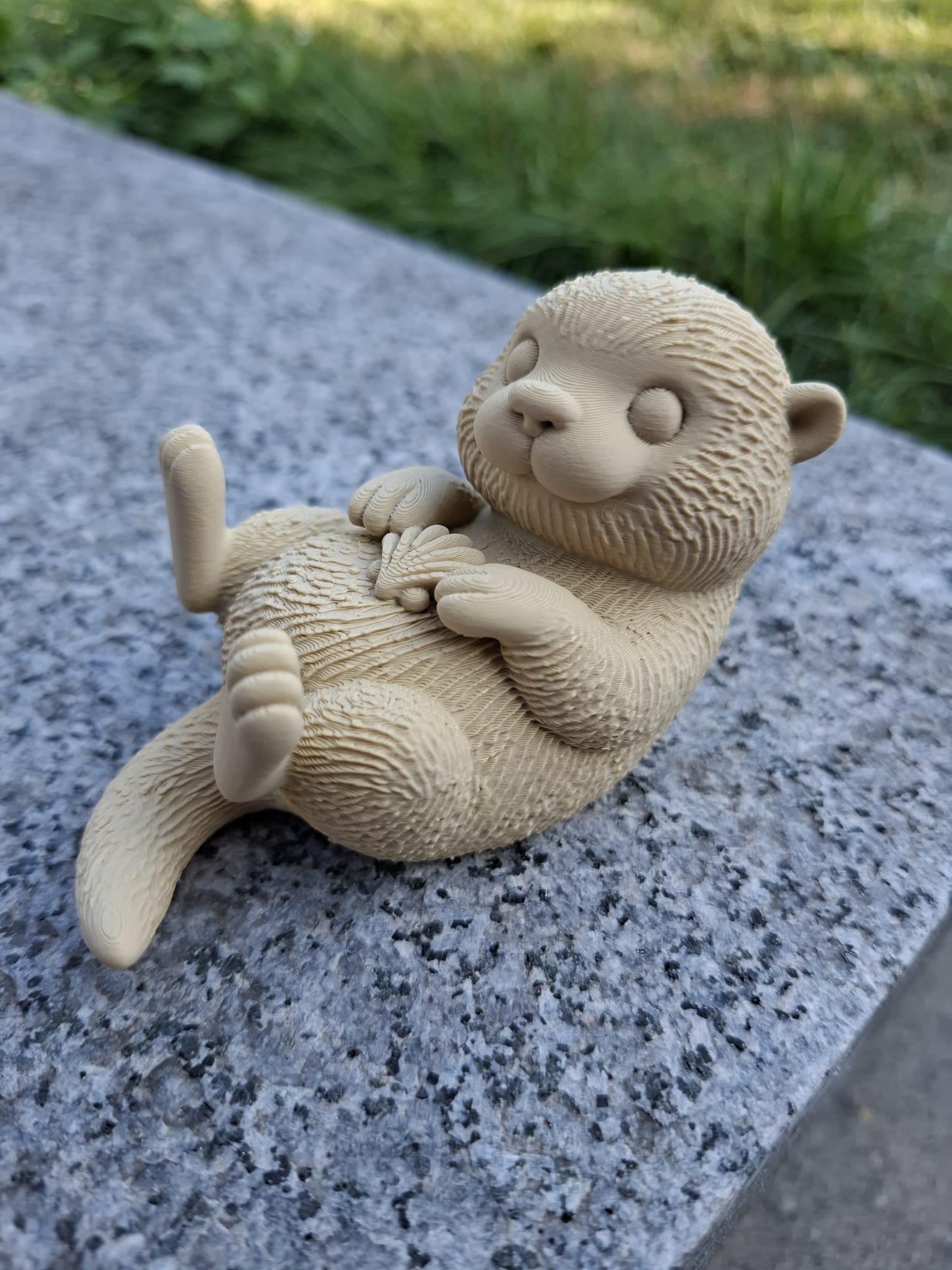 Sea Otter with Shell