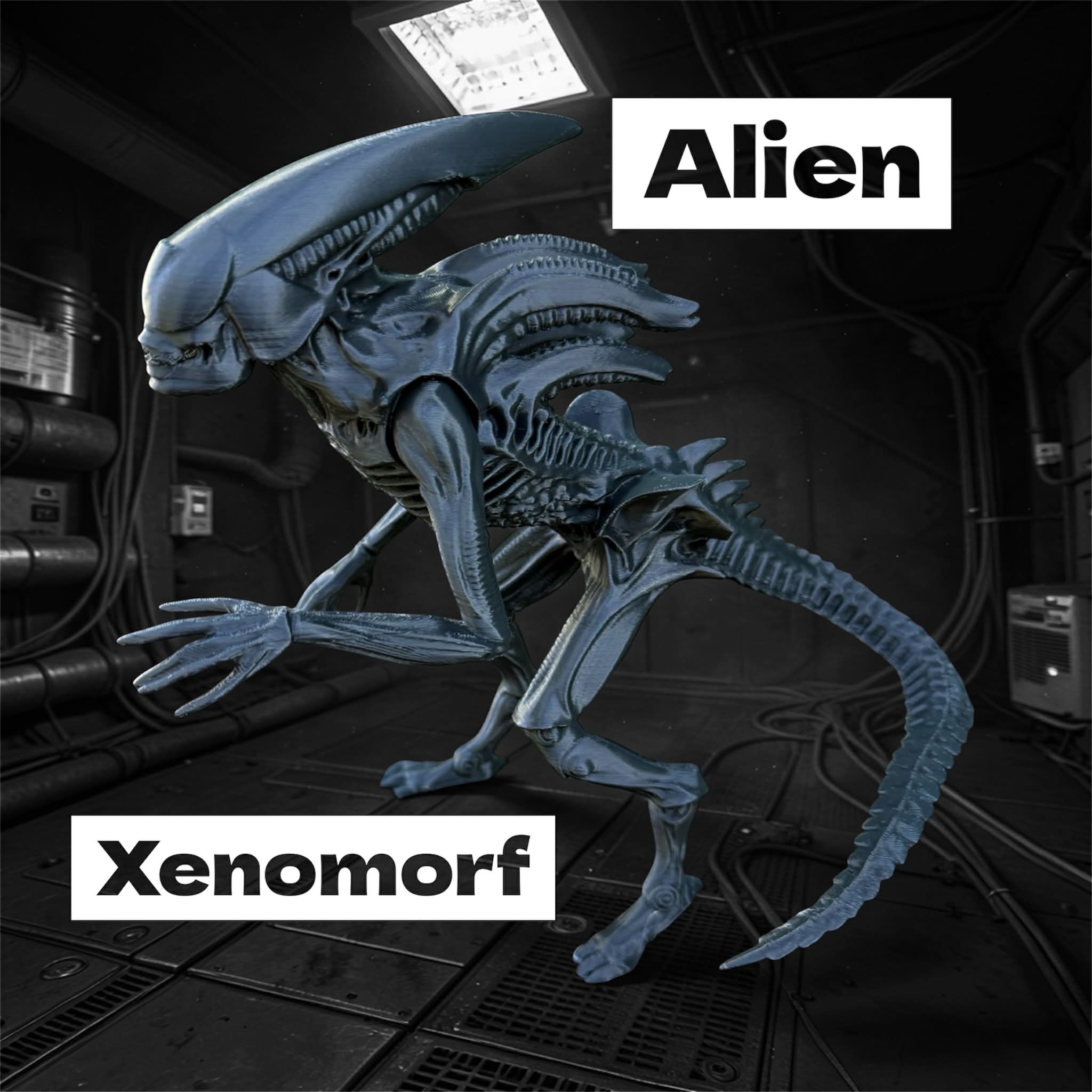 Alien, xenomorph from Prometheus, Covenant 3D model by Ainon3Dtisk