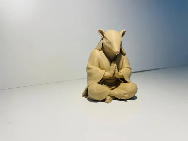 Meditating armadillo