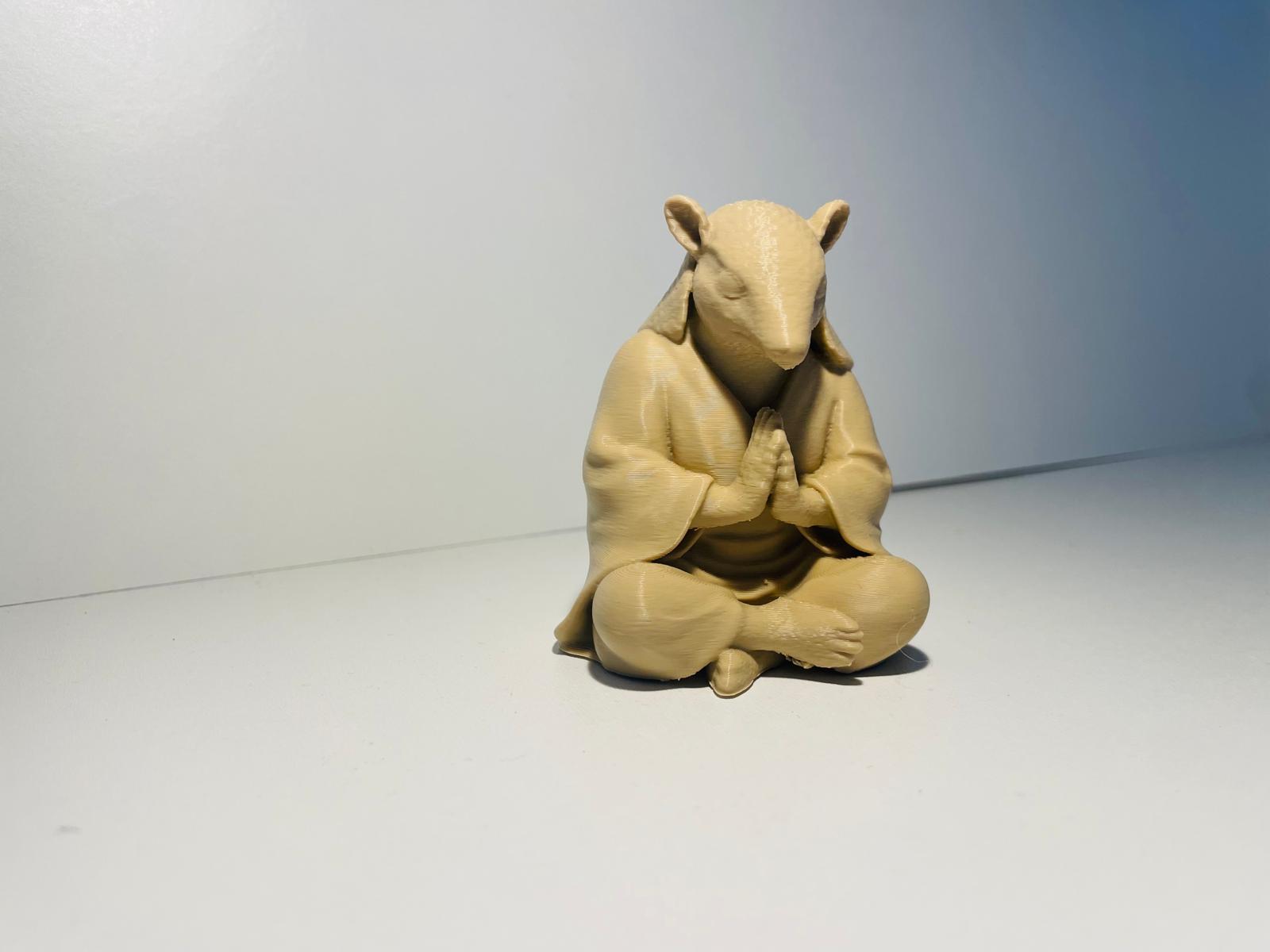 Meditating armadillo