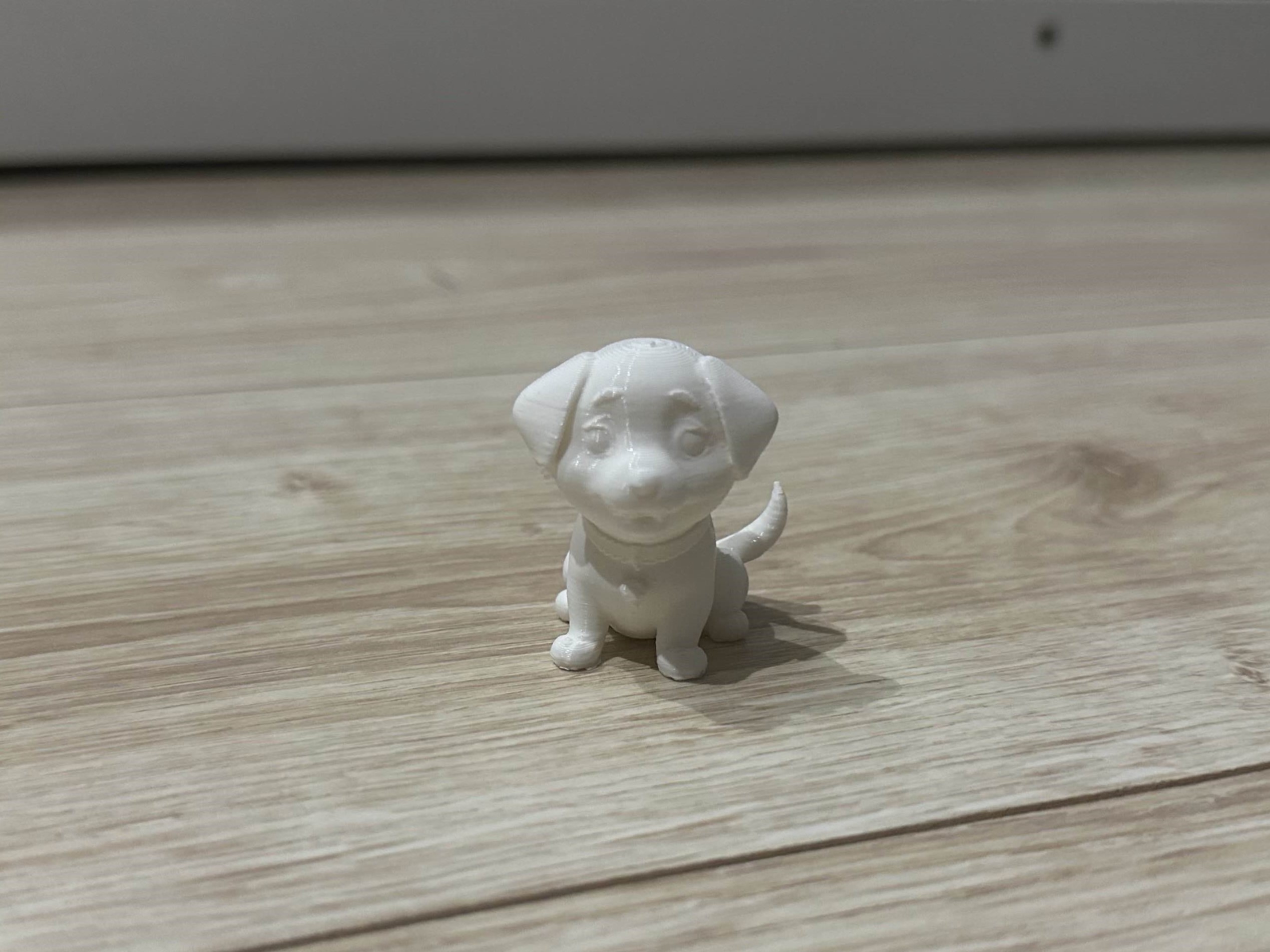 Cute Dog